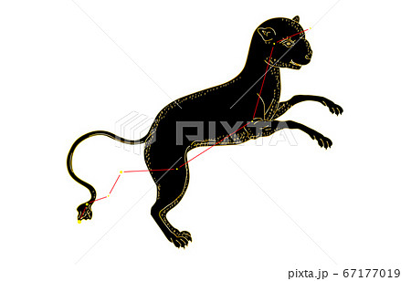 88星座影あり黒やまねこ座 88星座影あり黒やまねこ座 67177019