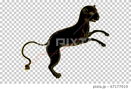 88星座影あり黒やまねこ座 88星座影あり黒やまねこ座 67177019