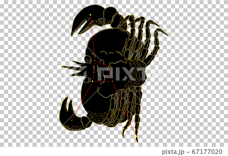 88星座影あり黒かに座 88星座影あり黒かに座 67177020