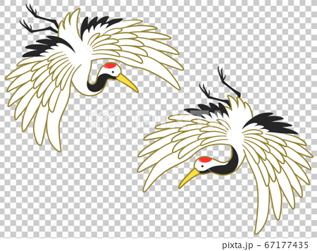 飛んでいる鶴のイラスト 金ライン のイラスト素材