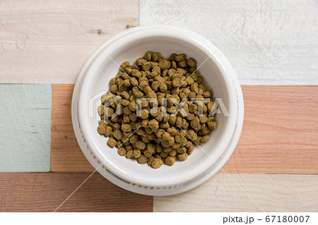 ドッグフード ペットフード物撮りイメージ ドッグフード ペットフード物撮りイメージ 67180007