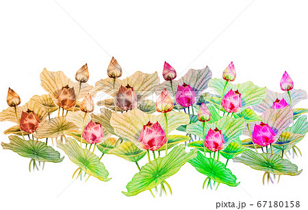 Watercolor painting on paper happy postcard Watercolor painting on paper happy postcard 67180158