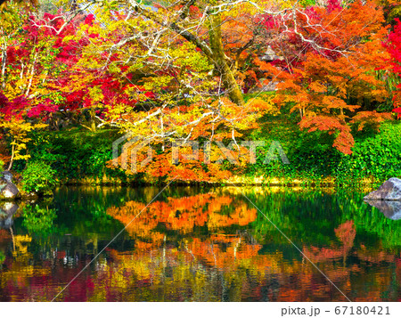 永観堂の紅葉 67180421