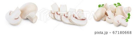 Fresh mushrooms champignon isolated on white background with clipping path and full depth of field. Set or collection 67180668