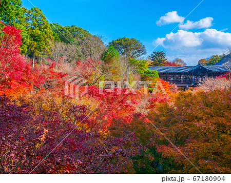 東福寺 通天橋の紅葉 東福寺 通天橋の紅葉 67180904