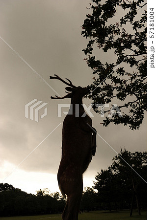 仁王立ち 仁王立ち 67181004