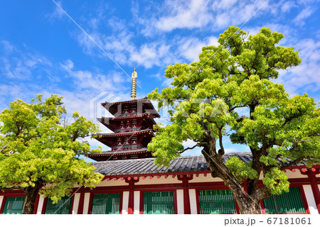 大阪 四天王寺の五重塔 大阪 四天王寺の五重塔 67181061