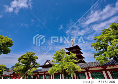 大阪 四天王寺の五重塔 大阪 四天王寺の五重塔 67181066