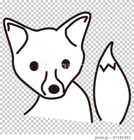 一隻狐狸 67182491