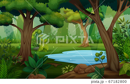 Forest scene with trees and pond illustration 67182800