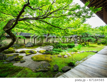 京都 永観堂禅林寺 南庭 京都 永観堂禅林寺 南庭 67184565
