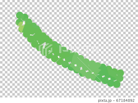 Illustration of sea grapes 67184892