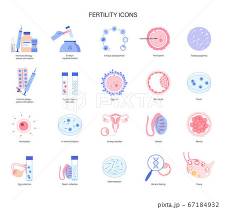 Reproductive system concept Reproductive system concept 67184932