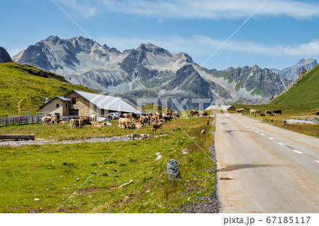 View of the albula pass in grisons, switzerland, 67185117