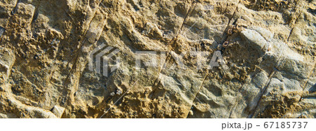 Photography of the rock texture. Detail of cliff in Zumaia in Basque Autonomous Community / country in summer cloudy day in Bay of Biscay. Ornamental pattern of mountain surface. High resolution image 67185737