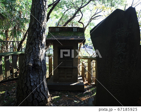 御松庵妙福寺　三代目袈裟掛けの松 67185925