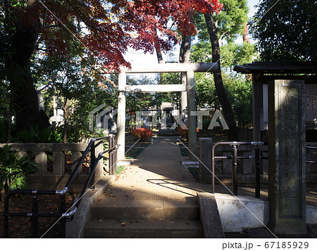 西郷隆盛留魂碑 西郷隆盛留魂碑 67185929