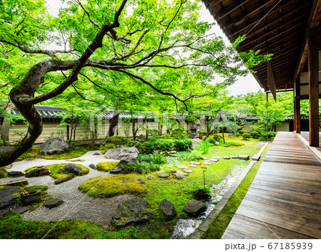 京都　永観堂禅林寺　南庭 67185939