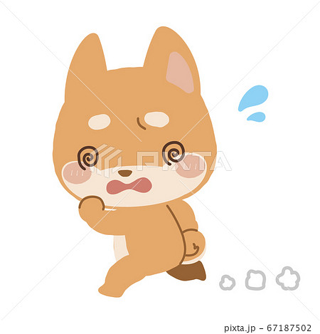 走っている柴犬くんのイラスト素材