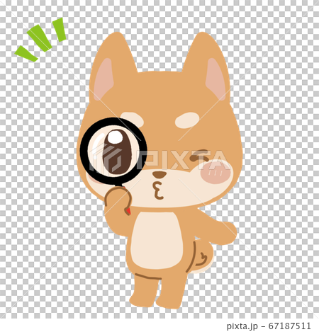 虫めがねで何かを見つけた柴犬くんのイラスト素材