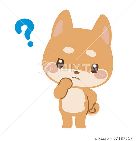 困り顔の柴犬くんのイラスト素材