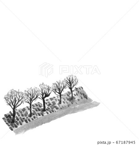 上から見た街路樹 墨の手描きイラスト のイラスト素材