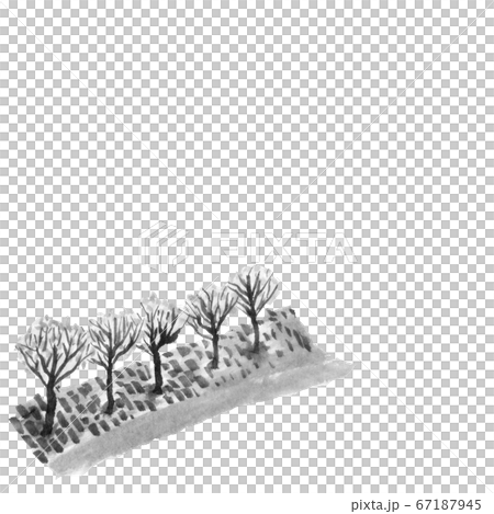 Roadside tree seen from above (hand-drawn illustration of ink) 67187945