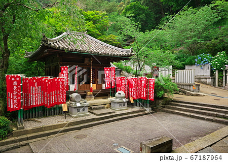奈良県 長谷寺 新緑と紫陽花の大黒堂の写真素材