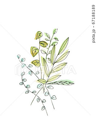 草木 67188189
