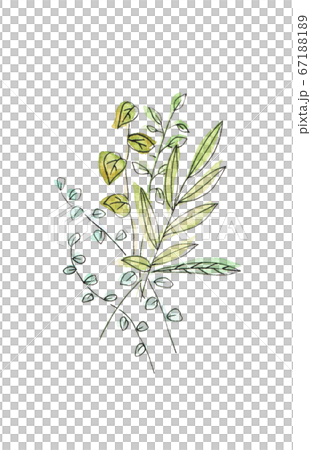草木 67188189