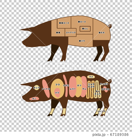 豚肉の部位 イラストのイラスト素材