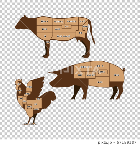 牛肉 豚肉 鶏肉 お肉の部位 イラストのイラスト素材