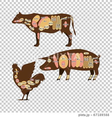 牛肉 豚肉 鶏肉 ホルモンの部位 イラストのイラスト素材 6713