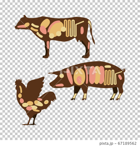 牛肉　豚肉　鶏肉　ホルモンの部位　名称なし　イラスト 67189562
