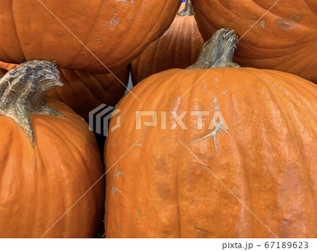 Halloween pumpkin store in hongkong Halloween pumpkin store in hongkong 67189623