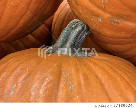 Halloween pumpkin store in hongkong Halloween pumpkin store in hongkong 67189624