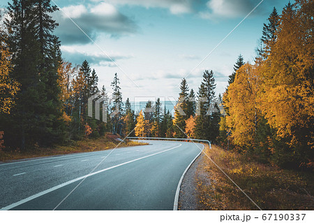 Autumn rAutumn road view from Sotkamo, Finland. oad view from Sotkamo, Finland. Autumn rAutumn road view from Sotkamo, Finland. oad view from Sotkamo, Finland. 67190337