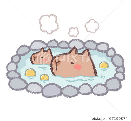 ユズ湯に入るカピバラ 67190374