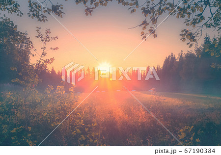 Summer night sunset view from Sotkamo, Finland. 67190384