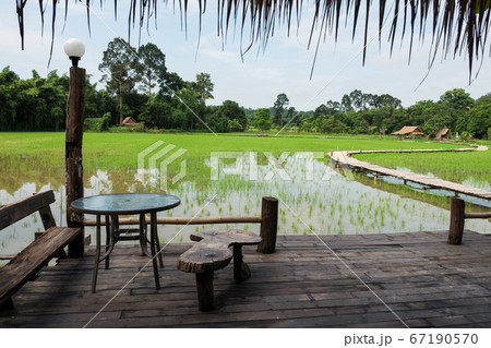 Wood balcony with rice farm view Wood balcony with rice farm view 67190570