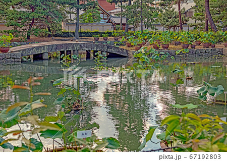 京都 相国寺 放生池と天界橋 67192803