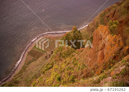 PORTUGAL MADEIRA PONTA DO SOL AGRICULTURE 67193262