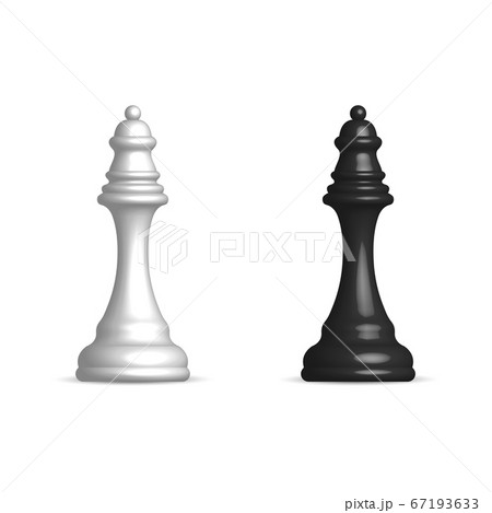Black and white chess piece queen, vector 67193633