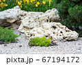 Flowerbed with stones and bushes as a decorative 67194172