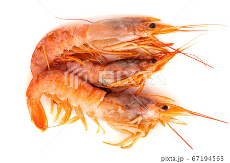 Three raw shrimp langostino Three raw shrimp langostino 67194563
