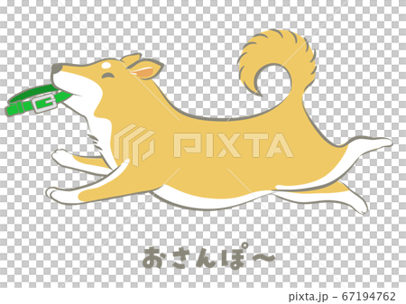 犬 柴犬 おさんぽ ベクターのイラスト素材