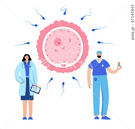 Reproductive system concept Reproductive system concept 67195843