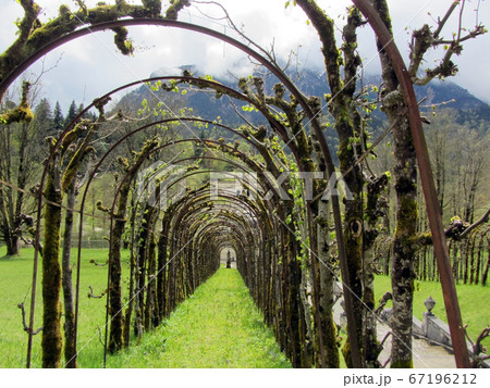 Arched garden gallery alpine park, Linderhof, Bavaria, Germany. 67196212