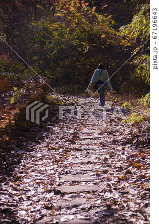 めがね橋 めがね橋 67196643