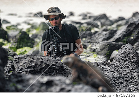 Wildlife photographer and tourist on Galapagos taking photo of Marine Iguana 67197358